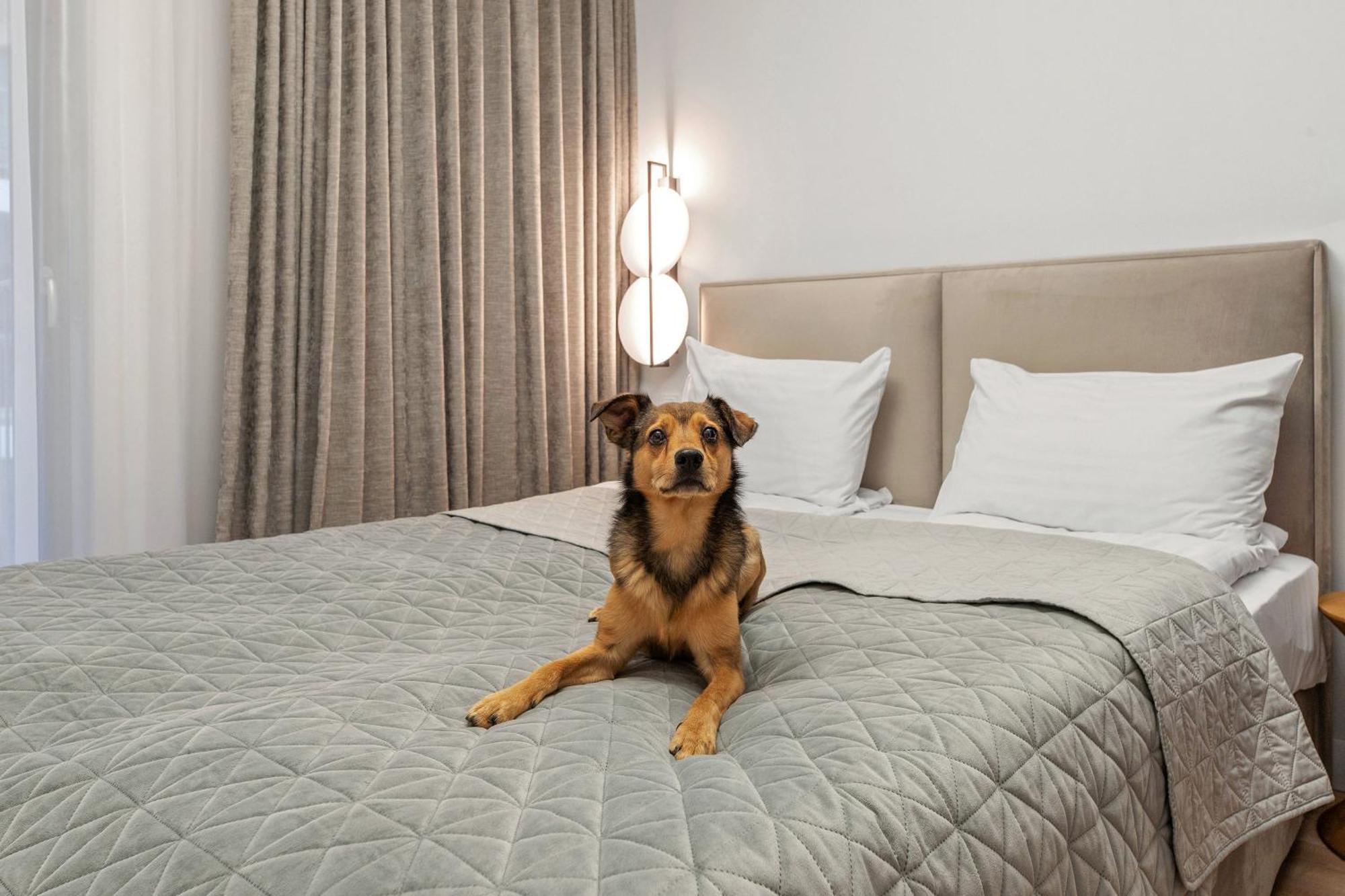 Grano Apartments Gdansk Old Town Spa & Wellness Bagian luar foto